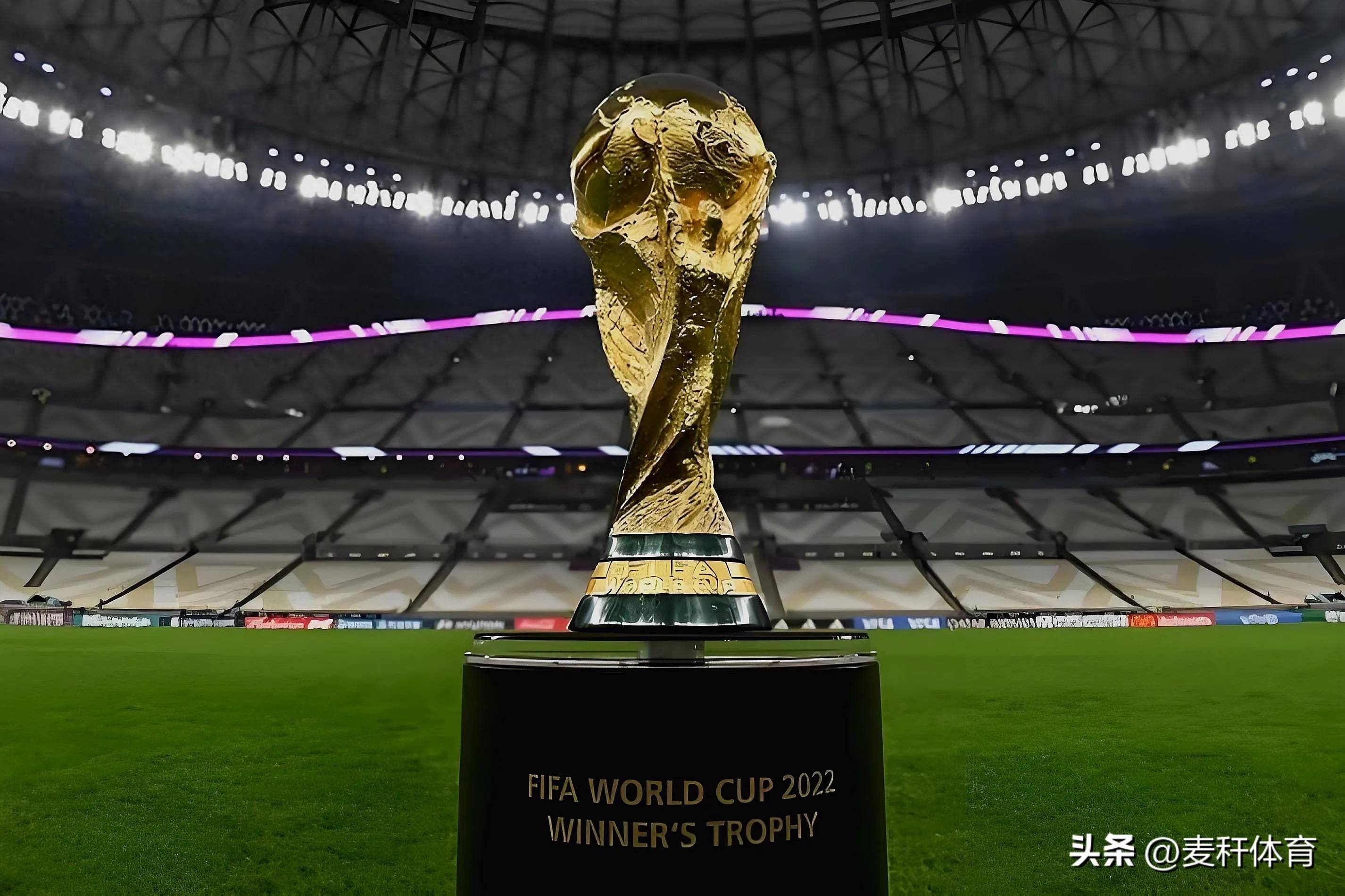 第一节他连 第一节他连